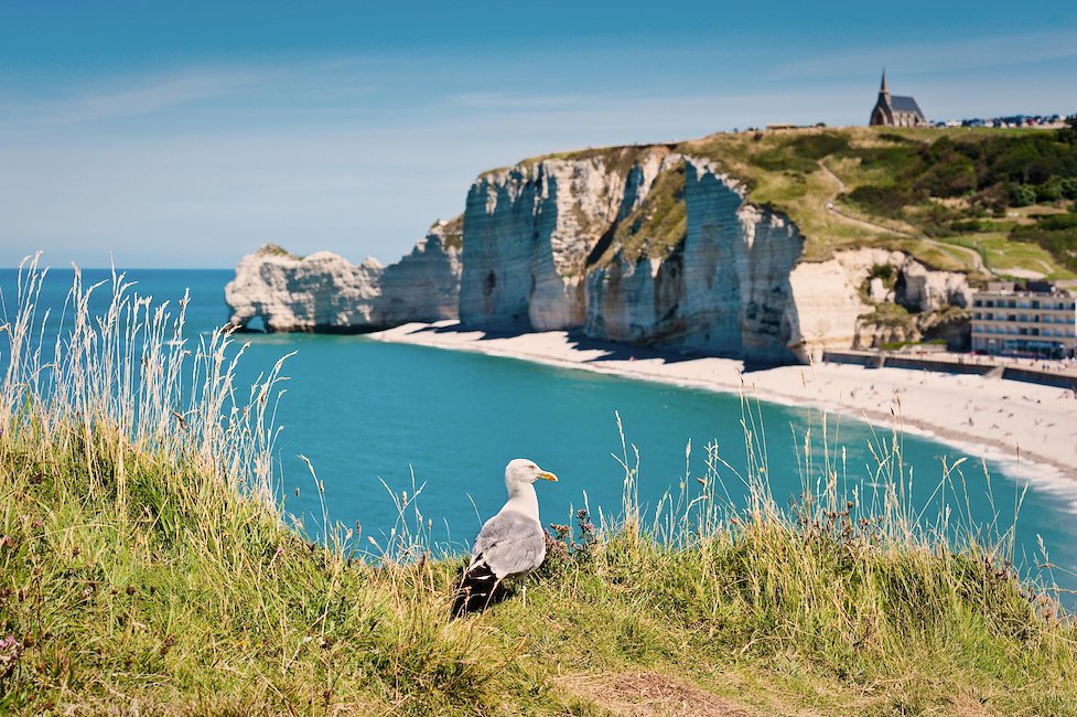 Normandie - Locations de vacances et appartements