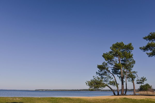 Mont-de-Marsan - Locations de vacances et appartements