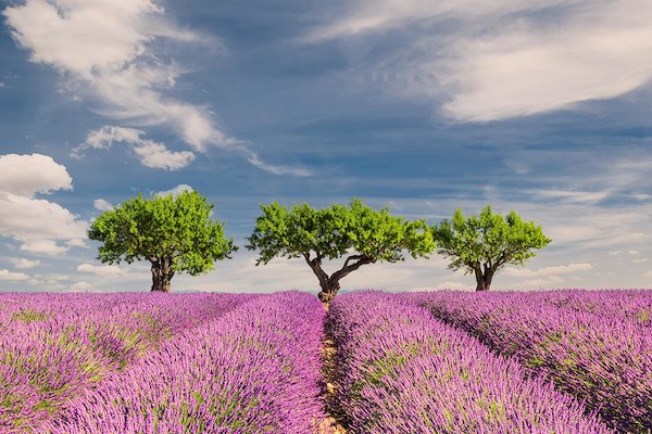 Occitanie - Locations de vacances et appartements