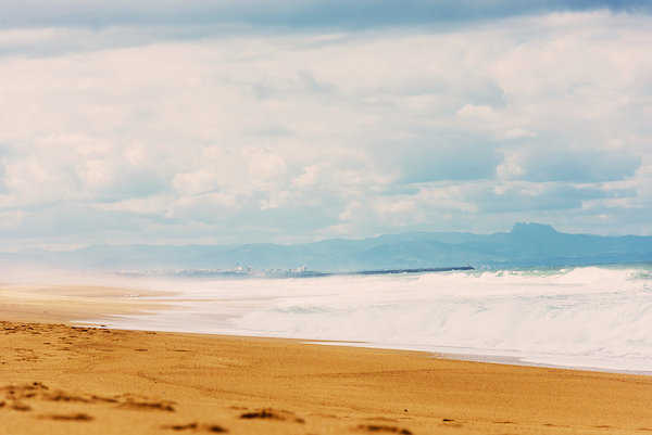 Cap Ferret - Locations de vacances et appartements