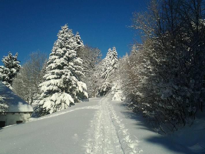 Chambre d’hôte pour 4 personnes, avec jardin dans les Vosges - 3