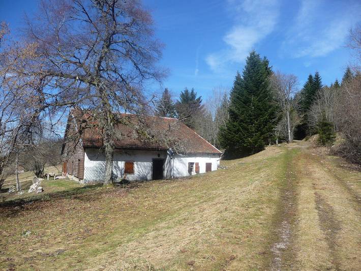 Chambre d’hôte pour 4 personnes, avec jardin dans les Vosges - 4
