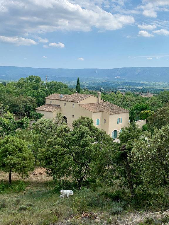 Chambre d’hôte pour 2 personnes, avec jardin et piscine, animaux acceptés dans le Vaucluse - 3
