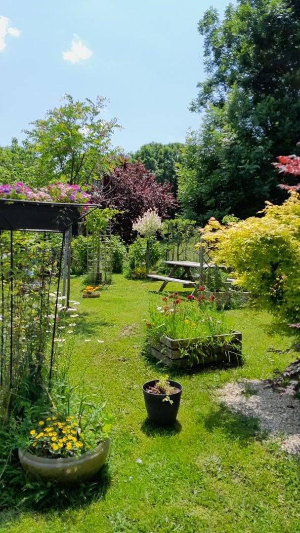 Chambre d’hôte pour 2 personnes, animaux acceptés dans le Cantal - 3