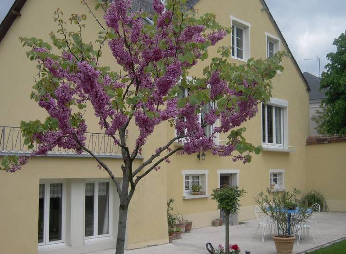 Chambre d’hôte pour 3 personnes, avec jardin et piscine en Normandie - 2