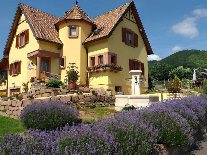 Chambre d’hôte pour 2 personnes, avec jardin dans Grand Est, France