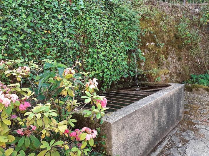 Chambre d’hôte pour 4 personnes, avec piscine et vue ainsi que sauna et jardin dans le Jura - 4