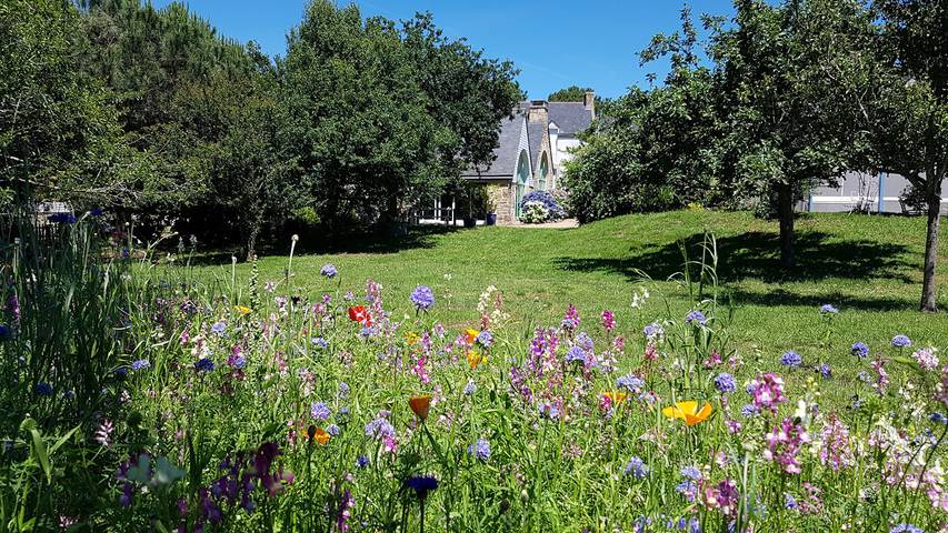 Chambre d’hôte pour 2 personnes, avec piscine et jardin dans le Morbihan - 4