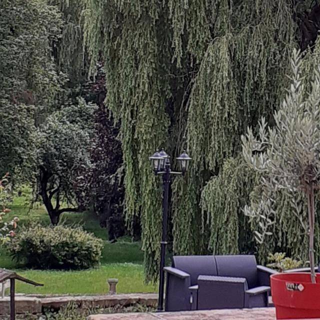 Maison d’hôte pour 7 personnes, avec jardin ainsi que vue et piscine, animaux acceptés dans les Vosges - 4