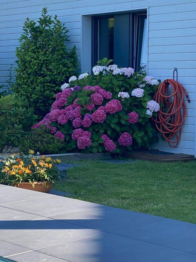 Chambre d’hôte pour 2 personnes, avec jardin et piscine en Loire-Atlantique - 2