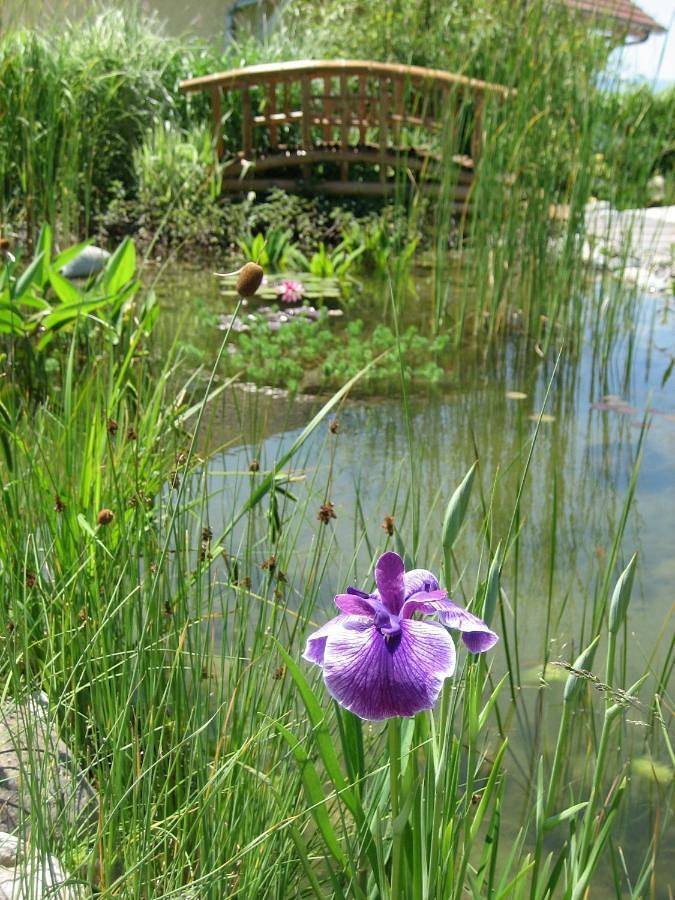Chambre d’hôte pour 3 personnes, avec vue et sauna ainsi que piscine et jardin en Haute-Savoie - 4