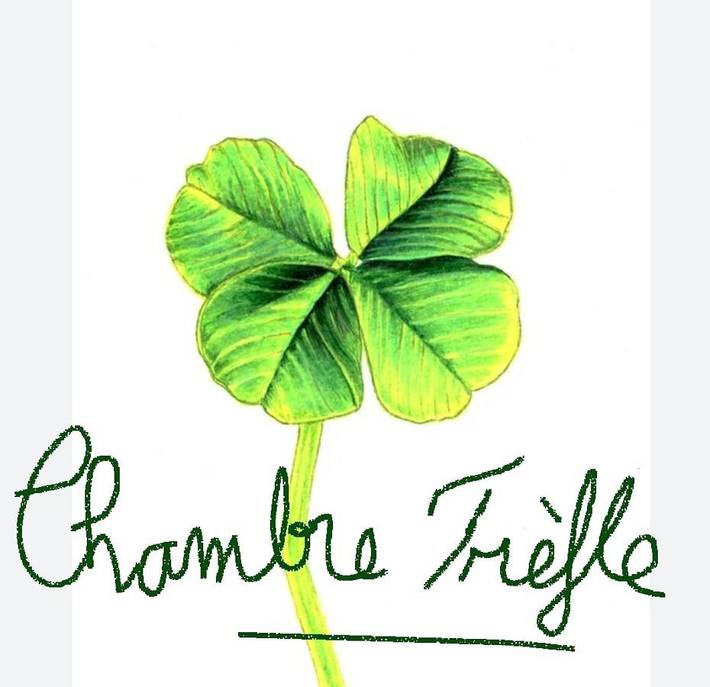 Chambre d’hôte pour 2 personnes, avec vue ainsi que piscine et jardin en Haute-Savoie - 3