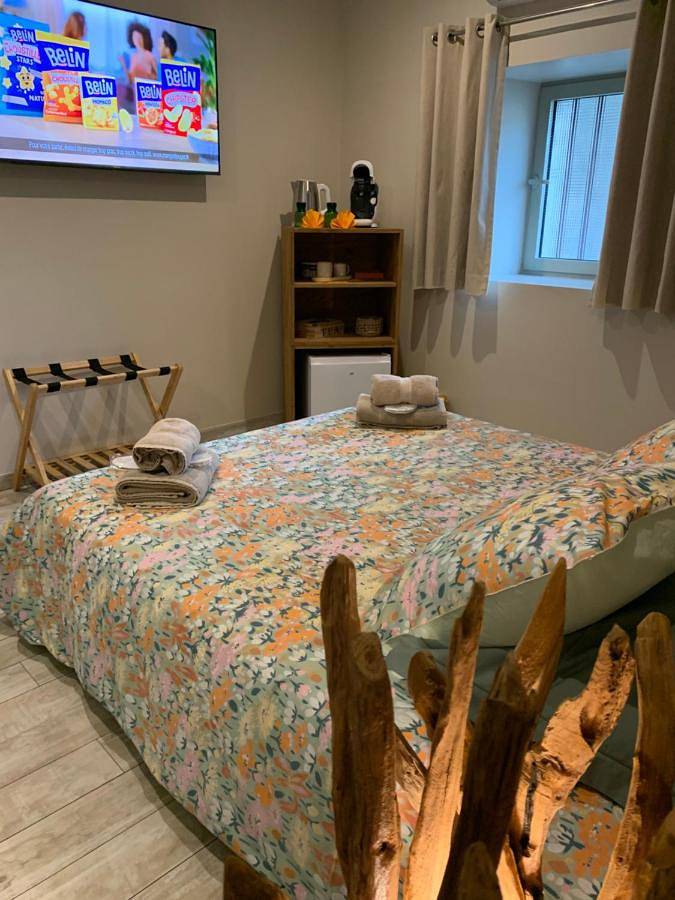 Chambre d’hôte pour 2 personnes, avec vue et jardin ainsi que sauna et piscine en Haute-Savoie - 3