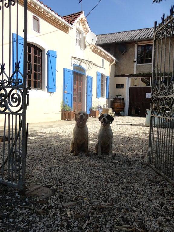 Chambre d’hôte pour 2 personnes, avec jardin et piscine dans le Gers