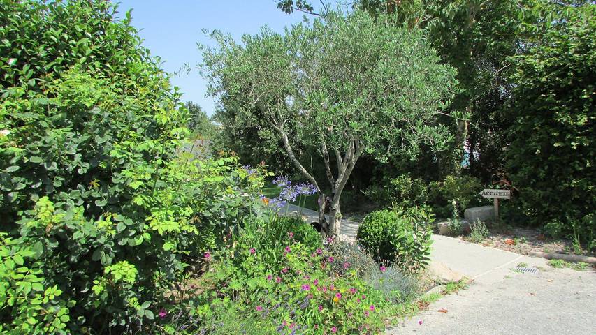 Chambre d’hôte pour 2 personnes, avec jardin et piscine en Vendée - 3
