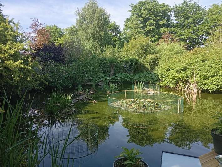 Chambre d’hôte pour 2 personnes, avec piscine et jardin ainsi que vue et vue sur le lac, animaux acceptés dans le Calvados - 2