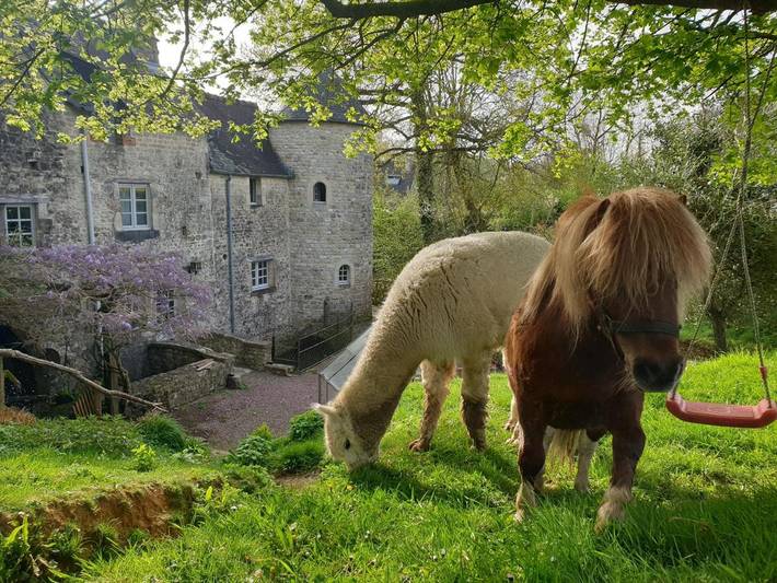 Chambre d’hôte pour 3 personnes, avec vue et jardin dans le Calvados - 3