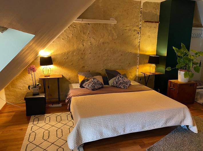 Chambre d’hôte pour 6 personnes, avec jacuzzi ainsi que piscine et jardin, animaux acceptés dans 