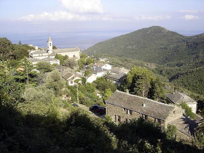 Chambre d’hôte pour 3 personnes, animaux acceptés dans 