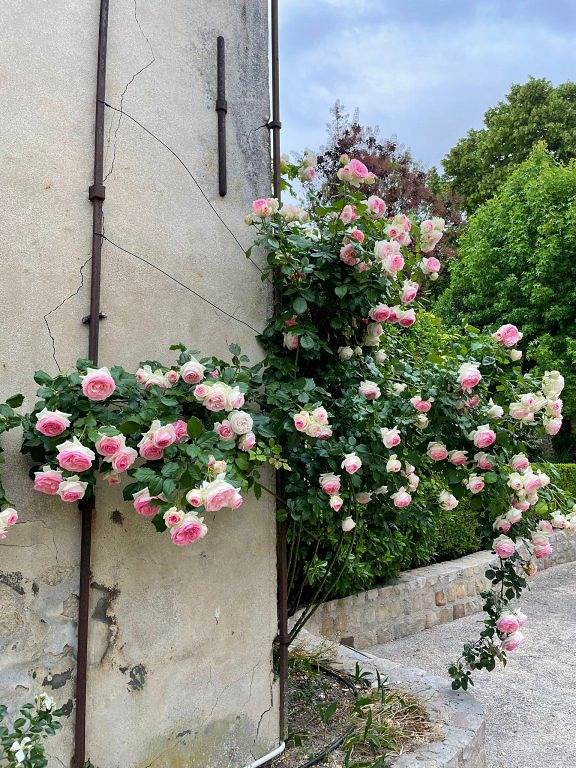 Chambre d’hôte pour 4 personnes, avec jardin et piscine dans 