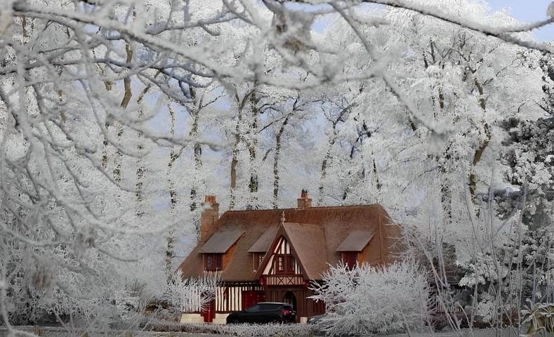 Chambre d’hôte pour 2 personnes, avec jardin, animaux acceptés en Normandie - 4