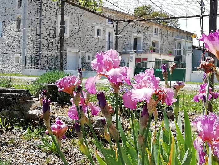 Chambre d’hôte pour 2 personnes, avec jardin en Ardèche - 2