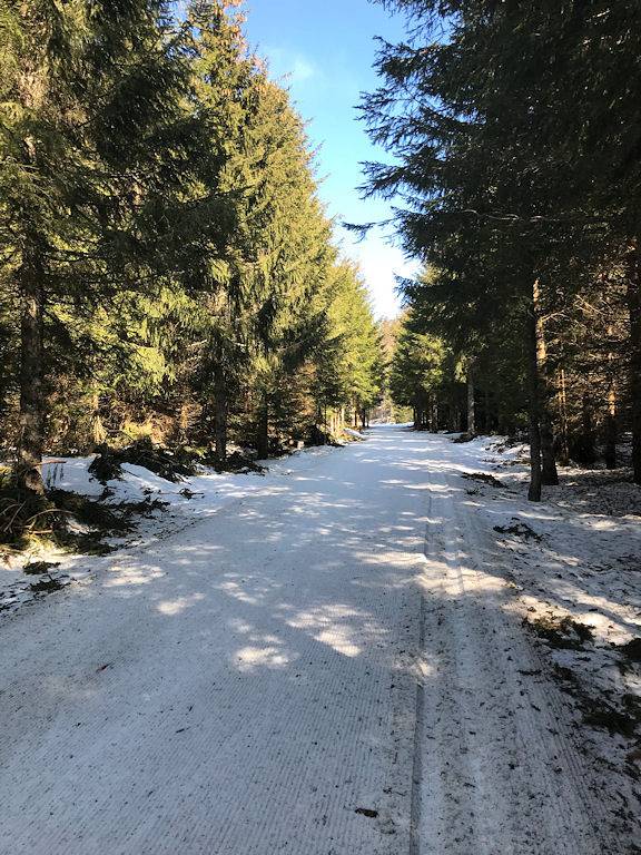 Chambre d’hôte pour 8 personnes, avec jardin dans le Jura - 3