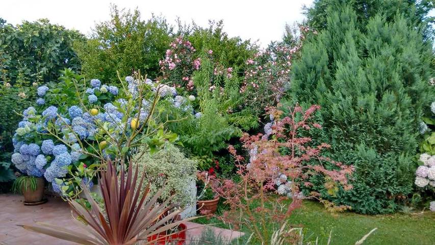 Chambre d’hôte pour 2 personnes, avec jardin au Pays basque - 3