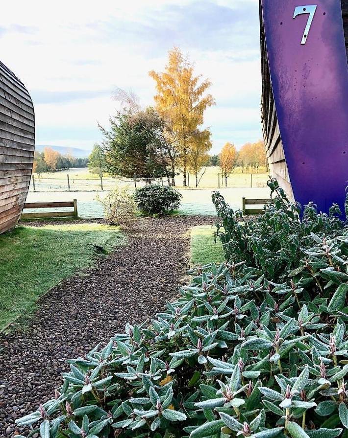 Chambre d’hôte pour 2 personnes, avec jardin et vue, animaux acceptés dans Écosse - 3