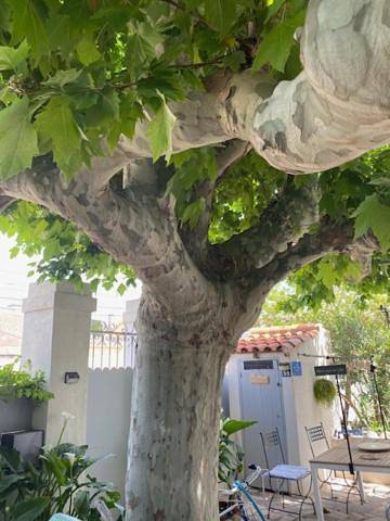 Chambre d’hôte pour 2 personnes, avec jardin et terrasse à Marseille