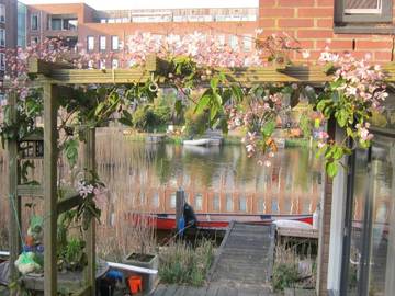 Chambre d’hôte pour 2 personnes, avec jardin et vue à Amsterdam
